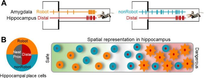 Figure 5.