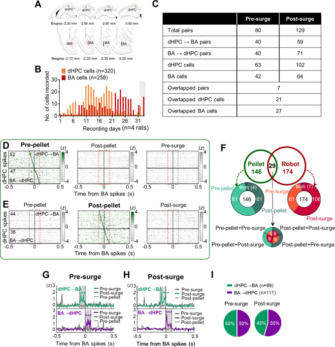 Figure 1—figure supplement 1.