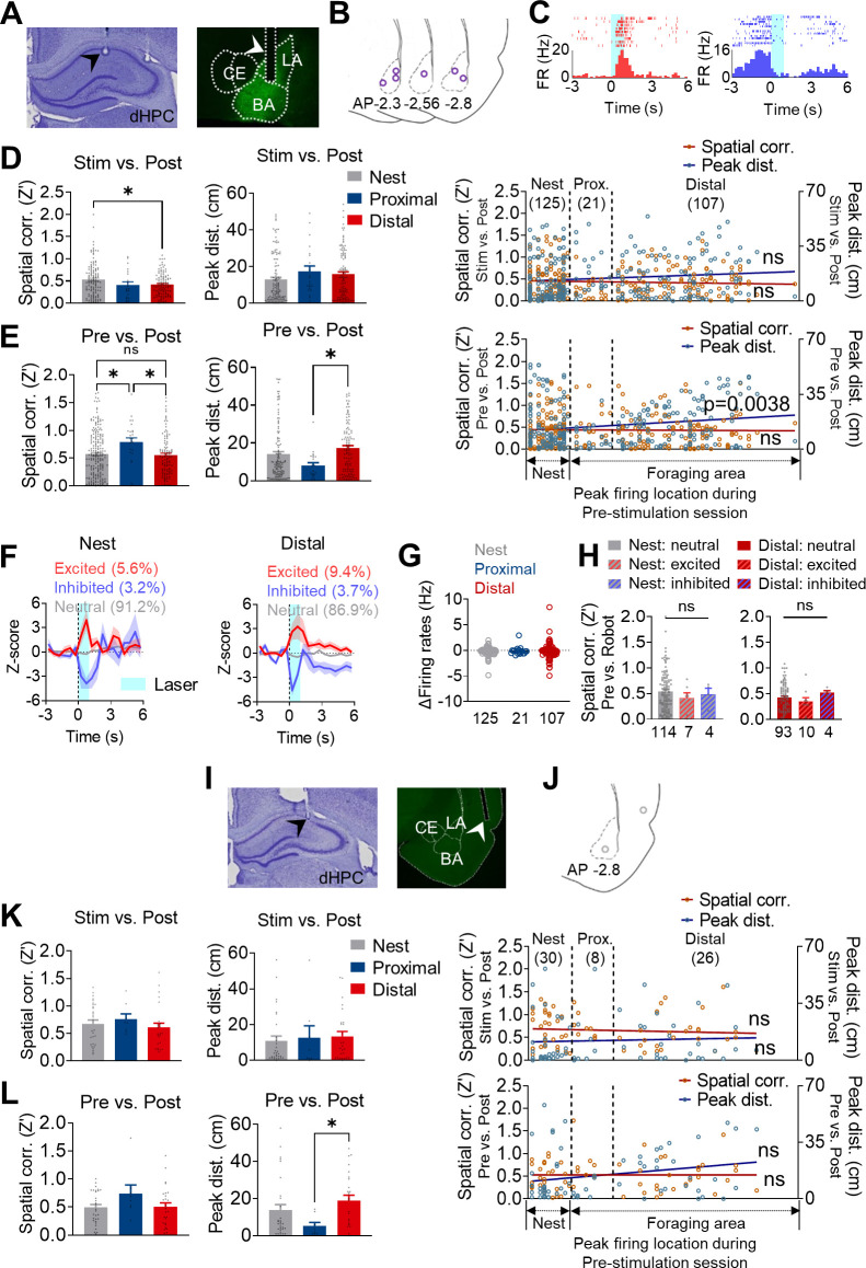 Figure 4—figure supplement 1.