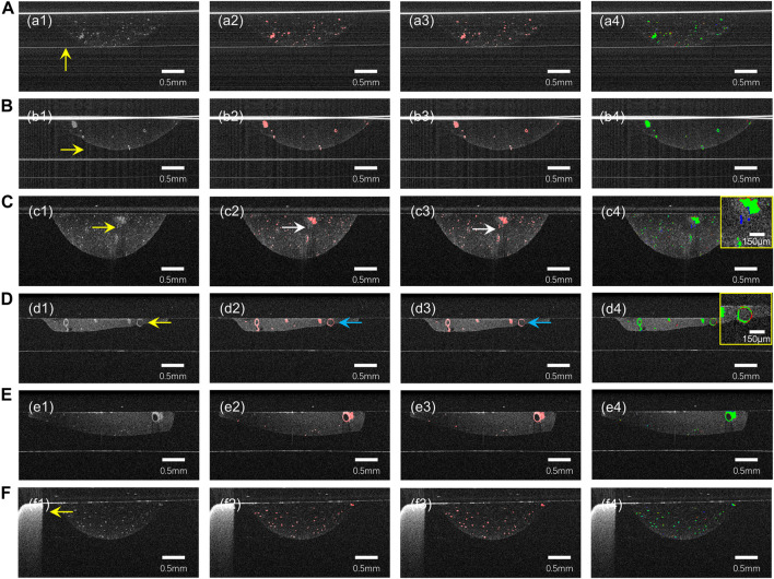 FIGURE 3