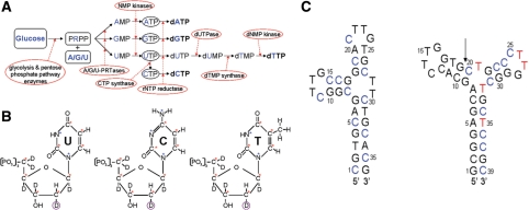 Figure 2.