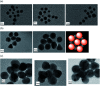Fig. 12