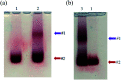 Fig. 9