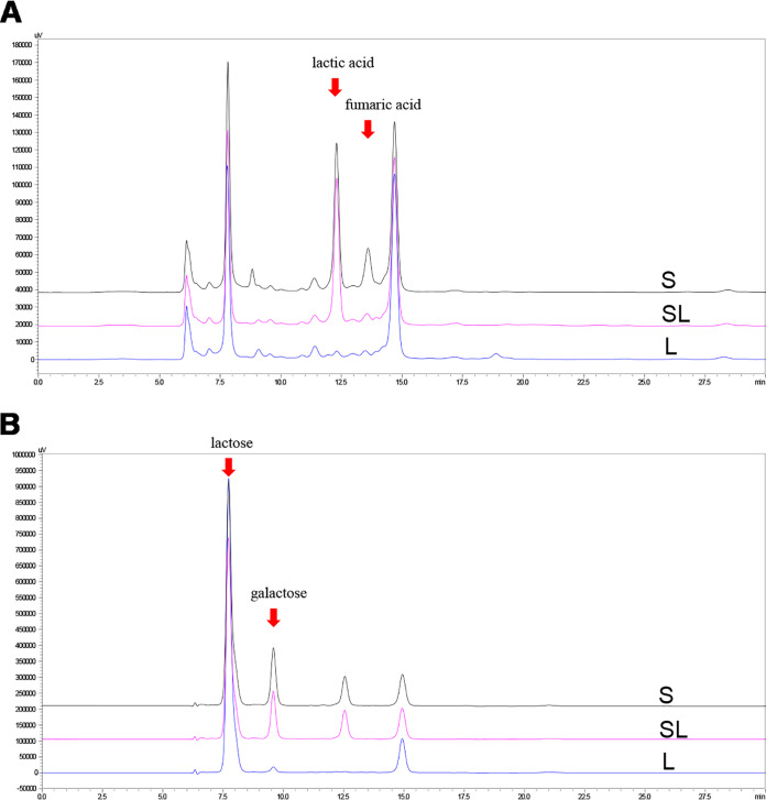 FIG 1