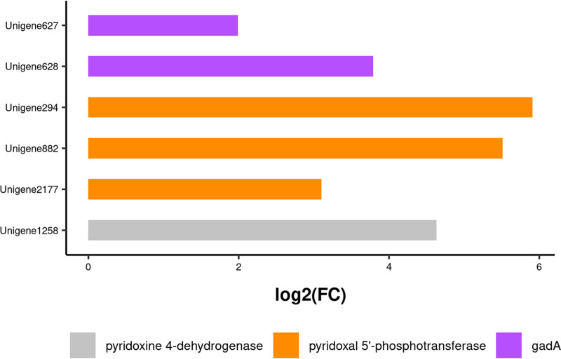 FIG 11