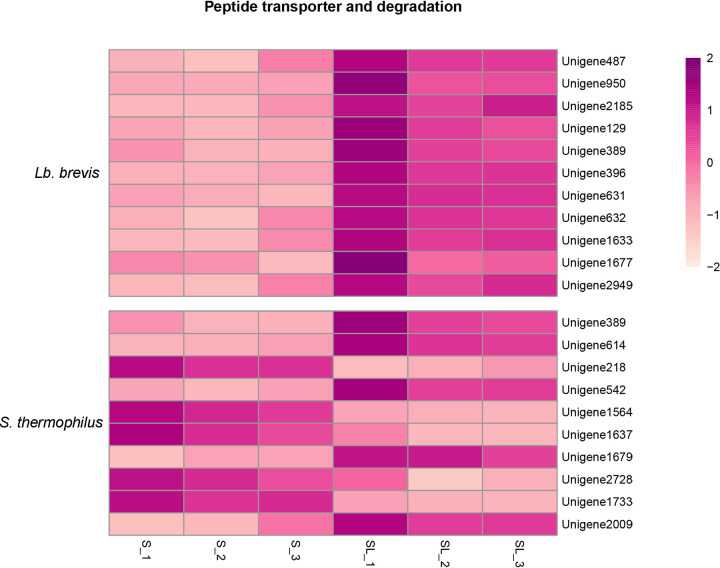 FIG 13