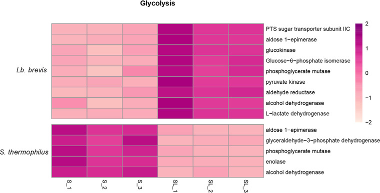 FIG 12