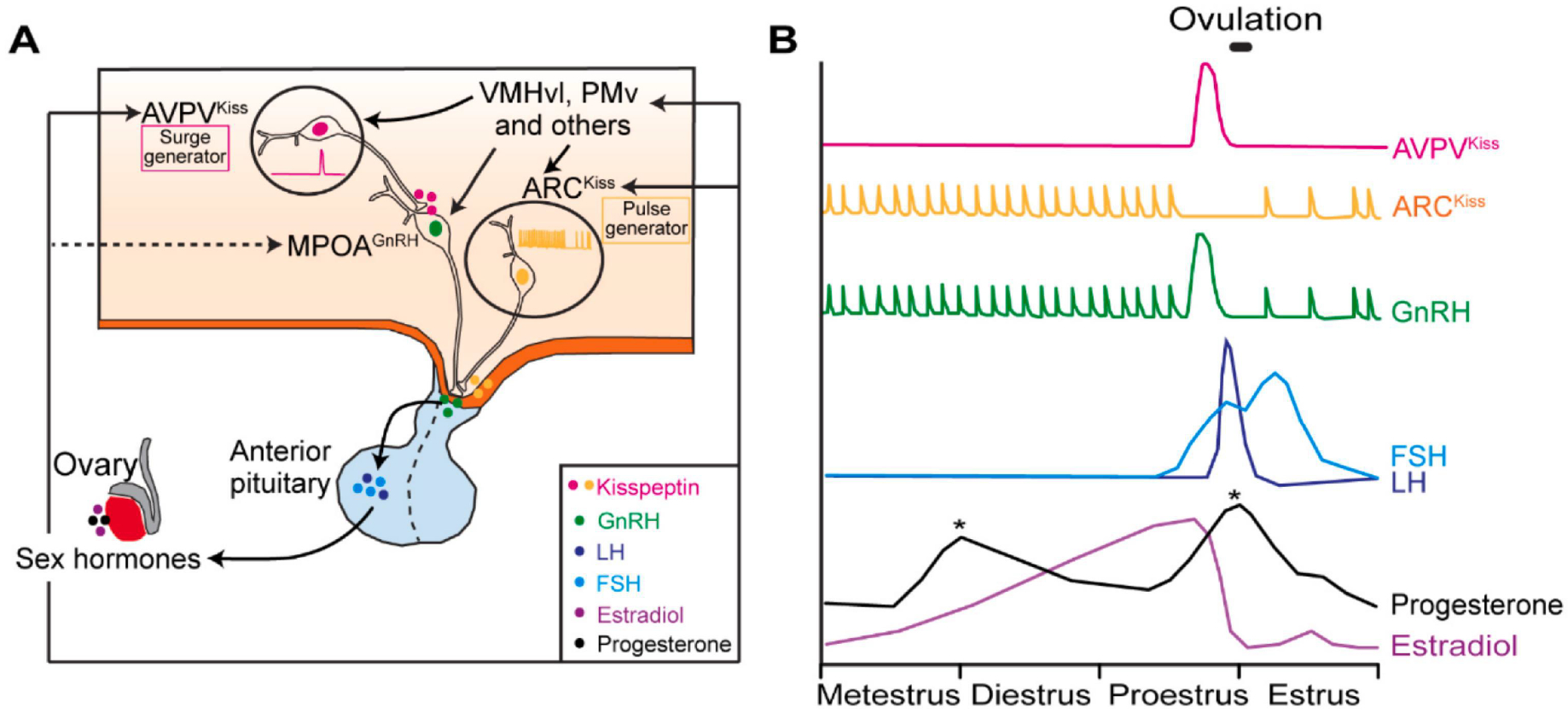 Figure 7.