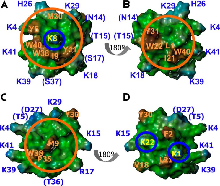 FIGURE 7.