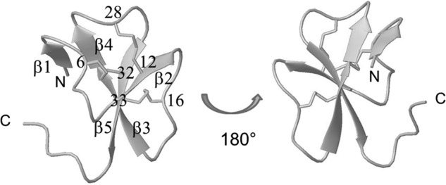 FIGURE 5.