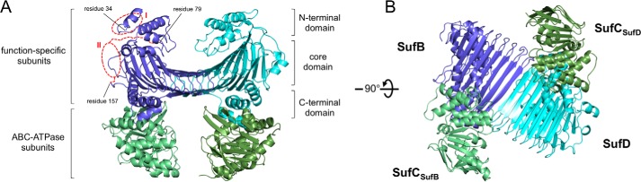 FIGURE 2.