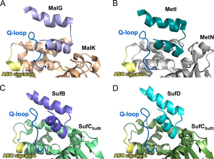 FIGURE 14.