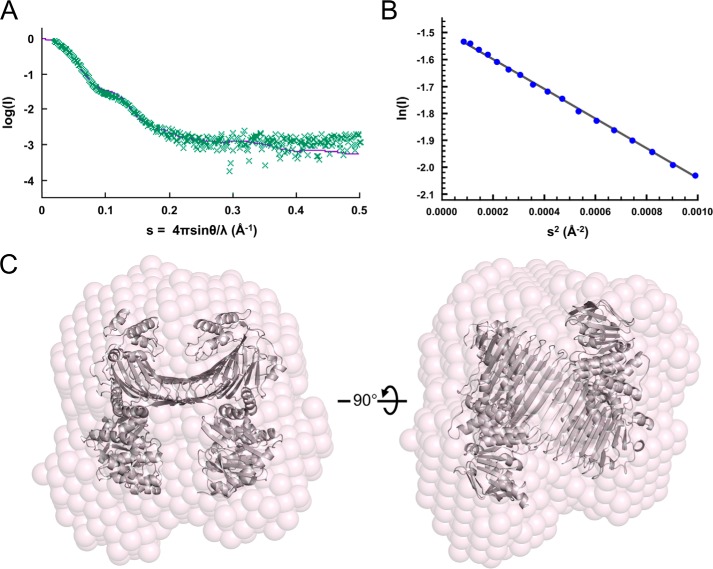 FIGURE 4.