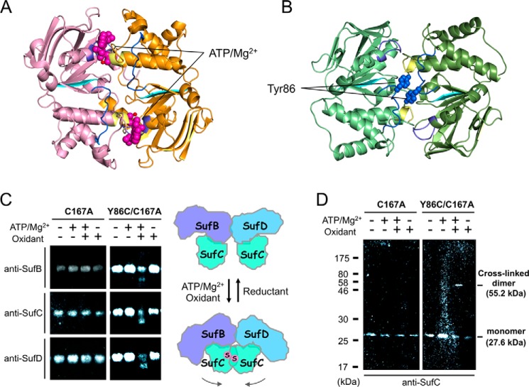 FIGURE 11.