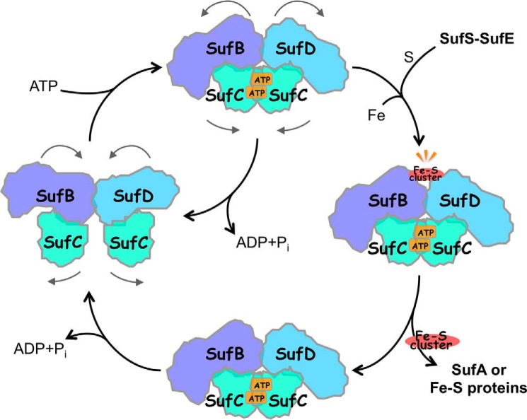 FIGURE 15.