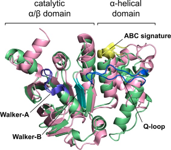 FIGURE 5.