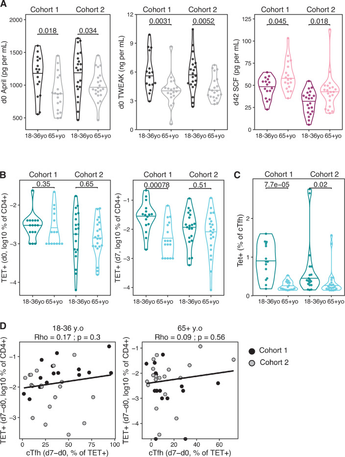 Figure 5—figure supplement 1.