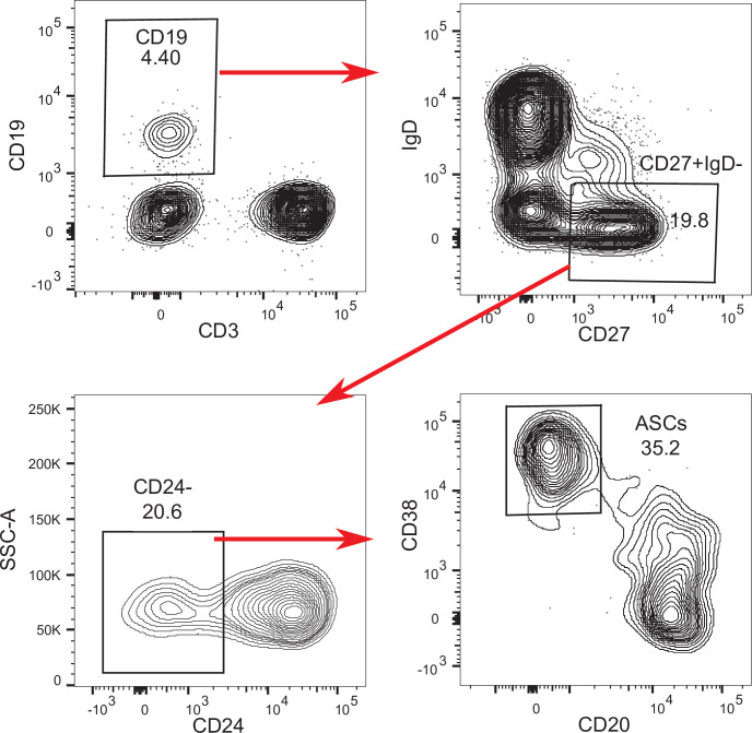 Figure 1—figure supplement 1.