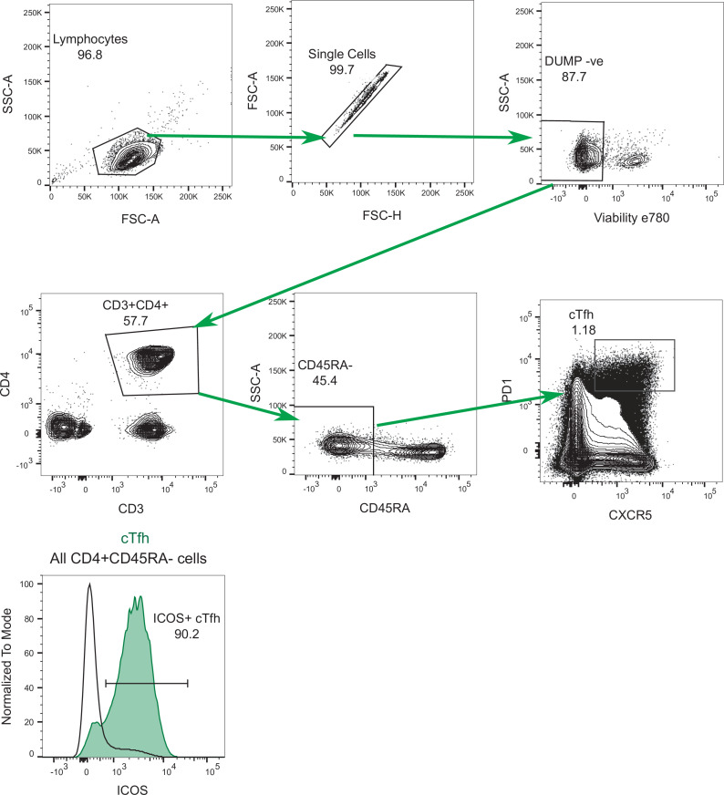 Figure 1—figure supplement 2.