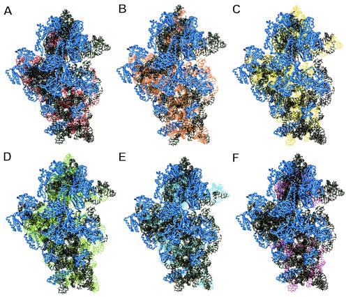 FIG. 1.