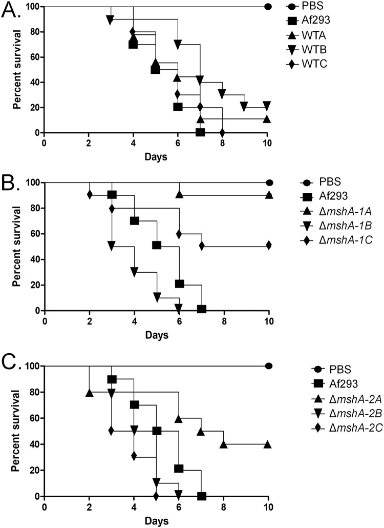 FIG 6