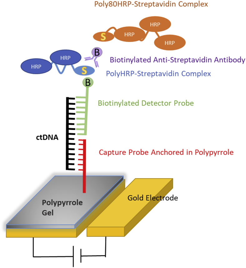 Figure 1