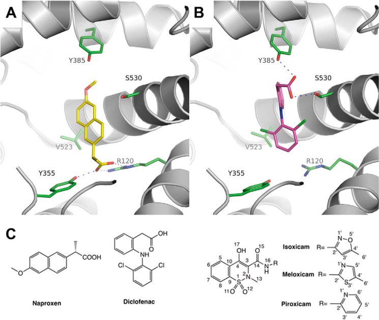 FIGURE 1.