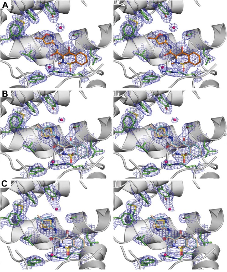 FIGURE 2.