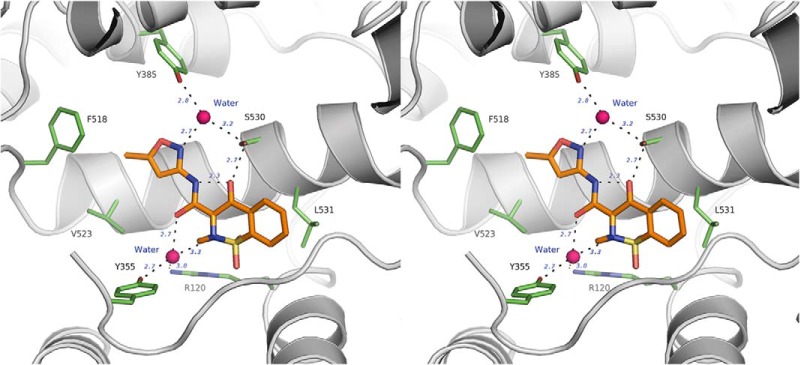 FIGURE 3.