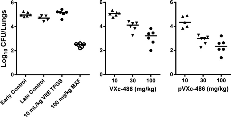 FIG 2