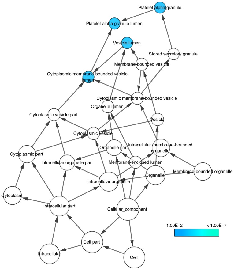 Figure 11.