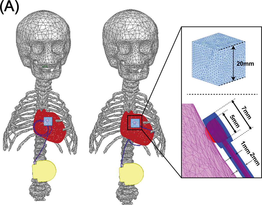 Figure 5: