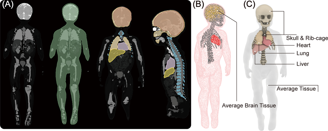 Figure 2: