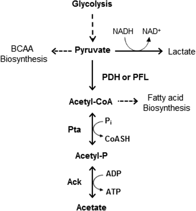 FIG 1