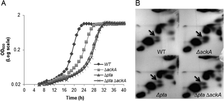 FIG 3