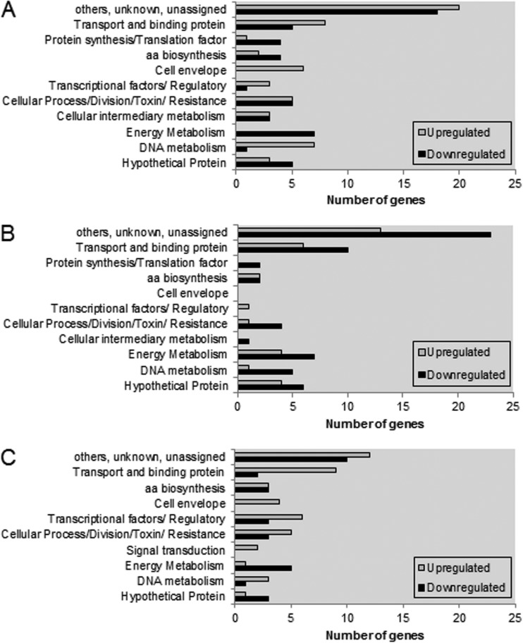 FIG 6