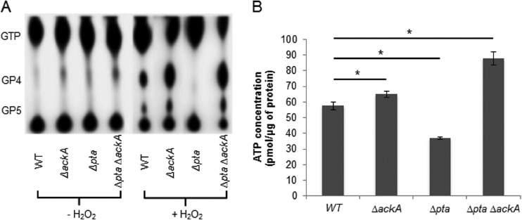 FIG 4