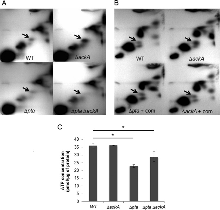 FIG 2