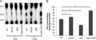 FIG 4