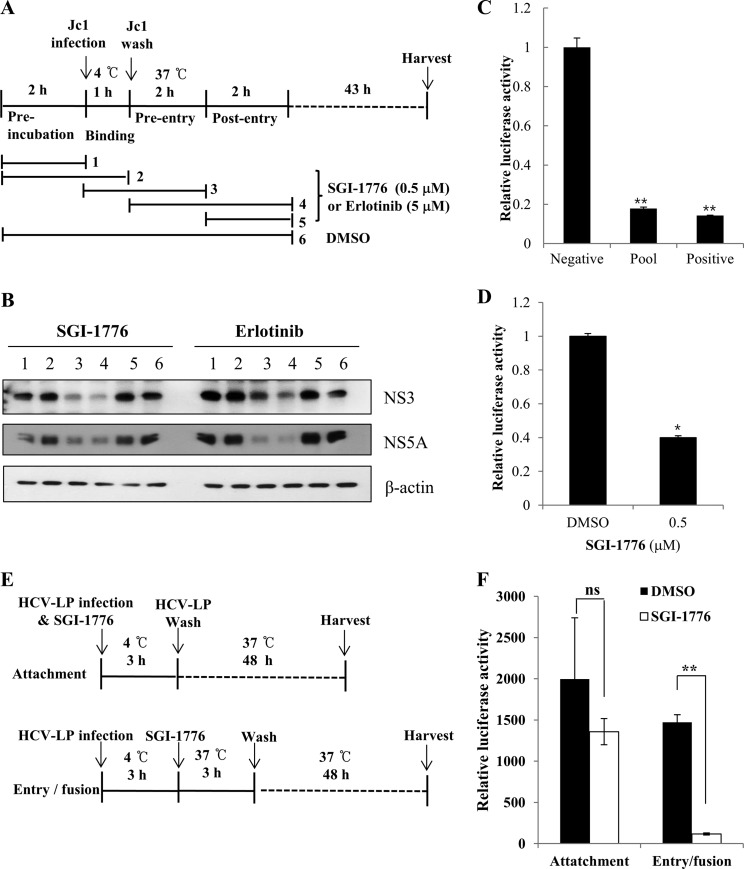 FIG 6