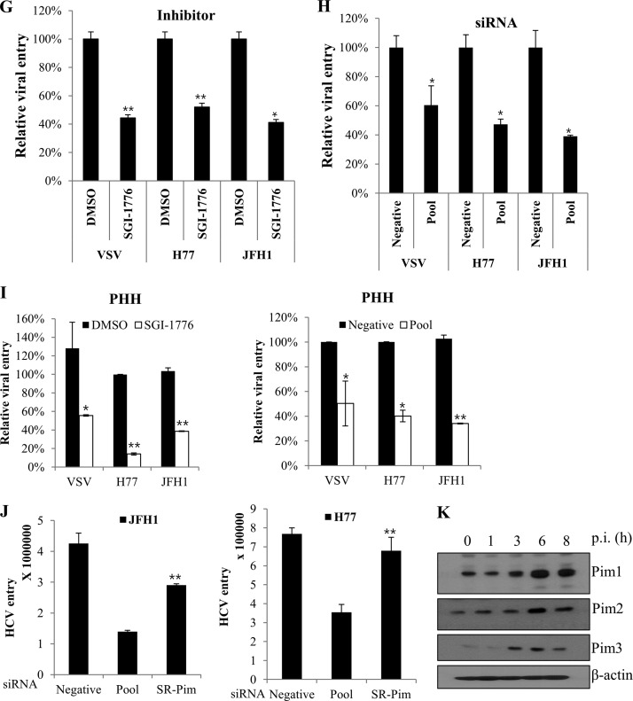 FIG 6