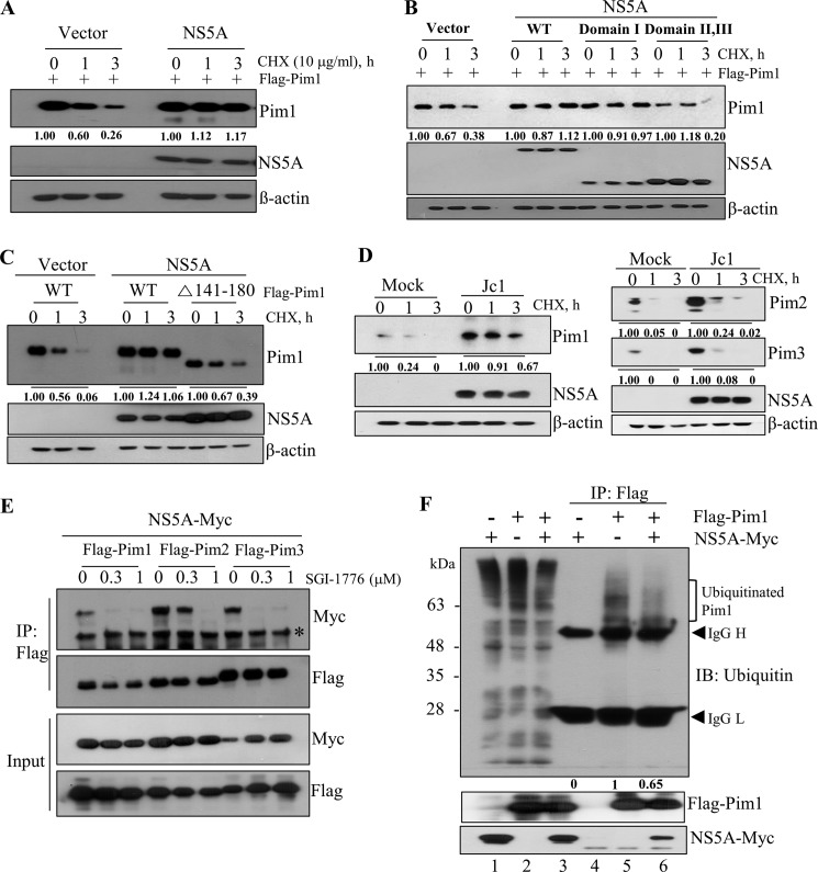 FIG 3