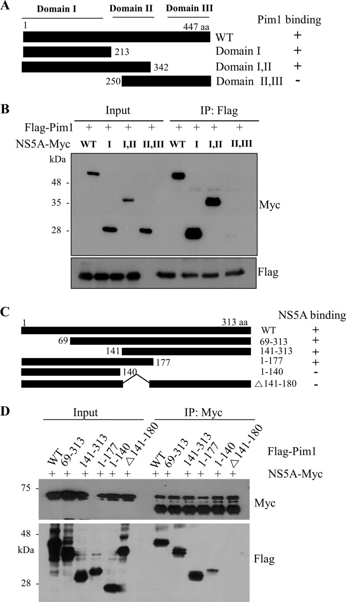 FIG 2