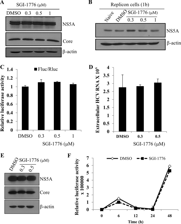 FIG 5