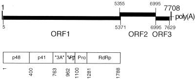 FIG. 1