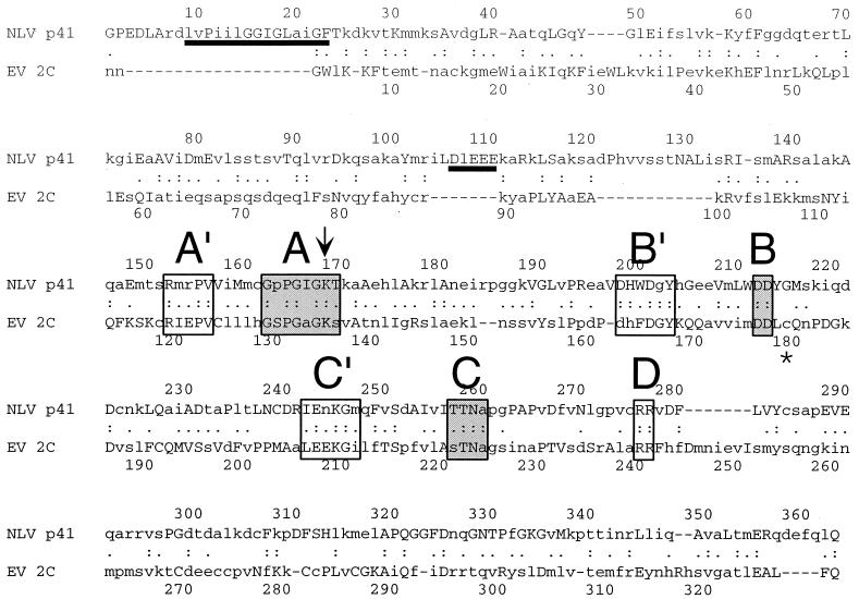 FIG. 6