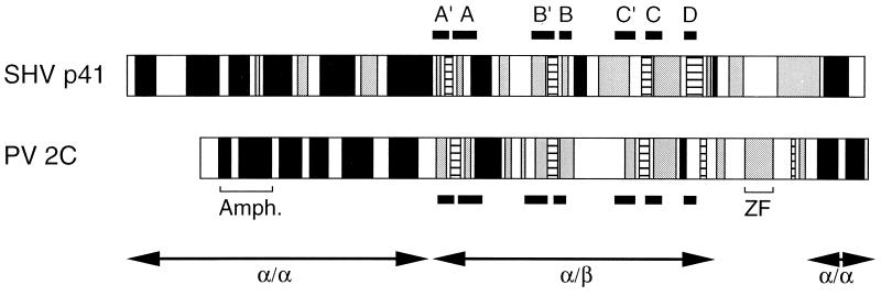 FIG. 7