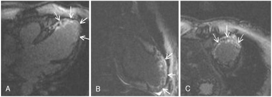 Fig. 8