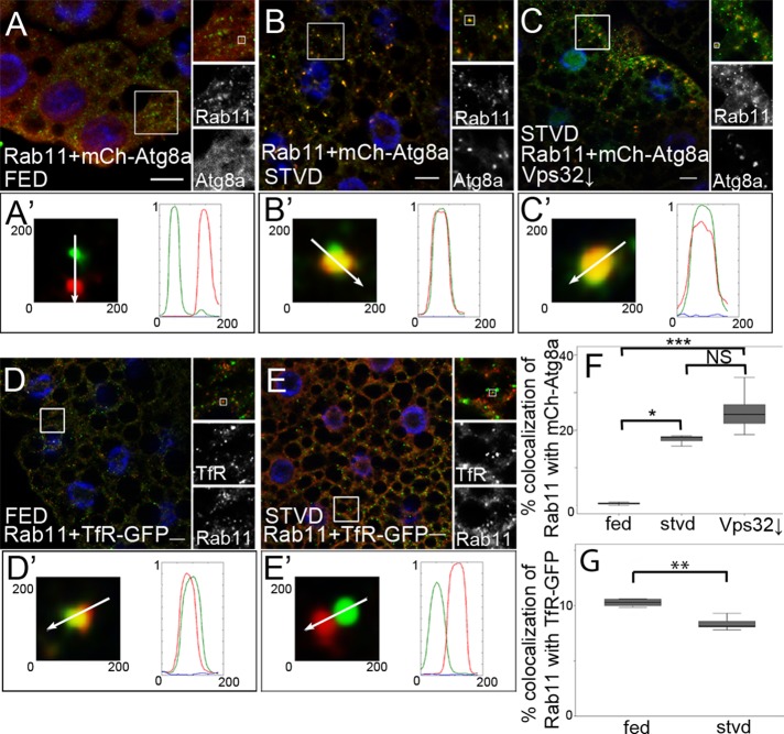 FIGURE 3: