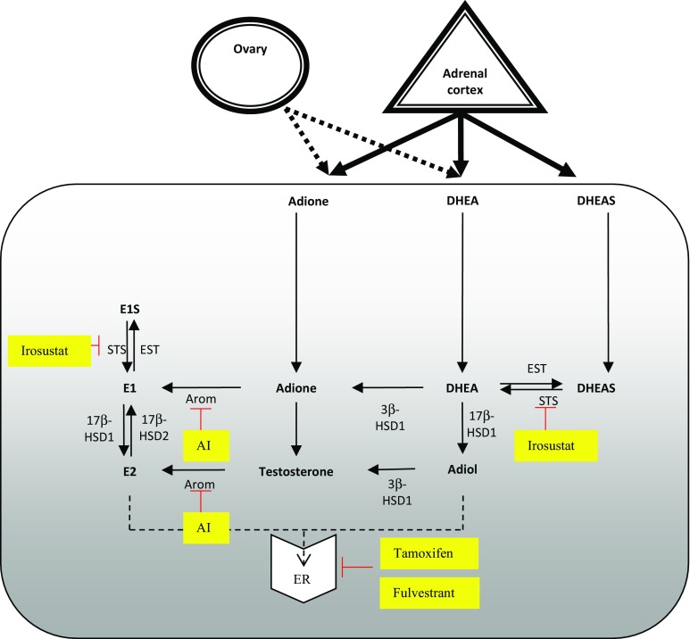 Fig. 1